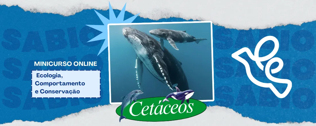 Minicurso de cetáceos