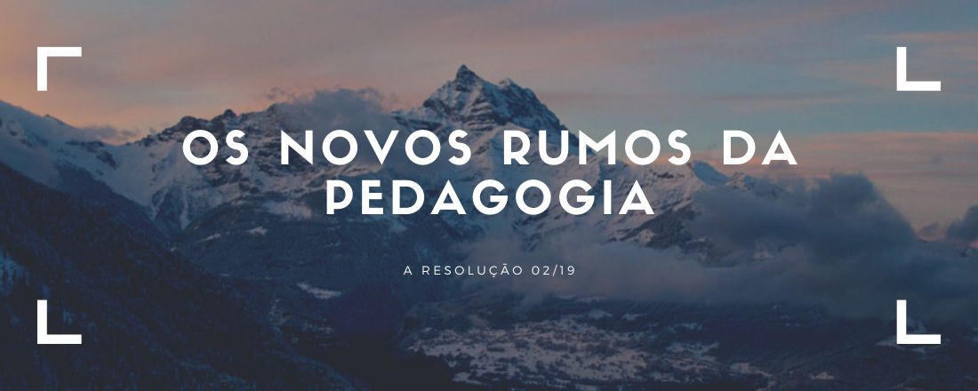 Os novos rumos da pedagogia: a resolução 02/19