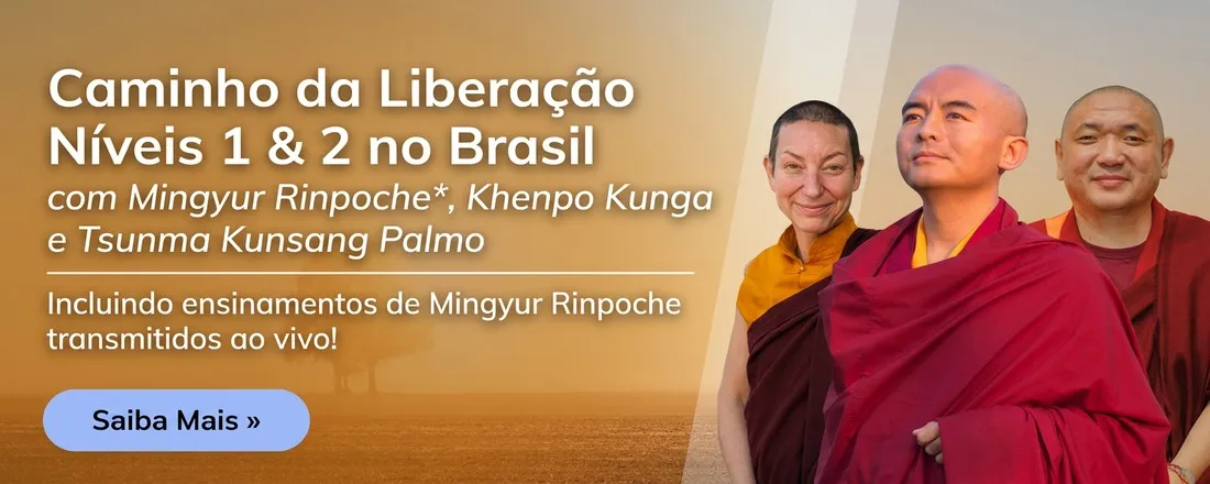 Retiro Caminho da Liberação Níveis 1 & 2 no Brasil