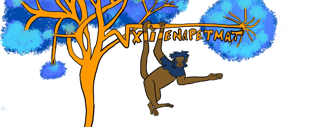 XIII Encontro Nacional dos PET's - Matemática - ENAPETMAT