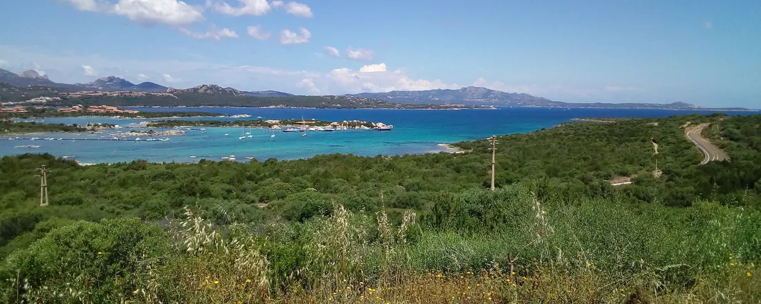 Adaptación y mitigación frente al cambio climático
