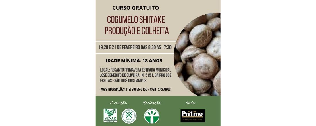 COGUMELO SHIITAKE – PRODUÇÃO E COLHEITA