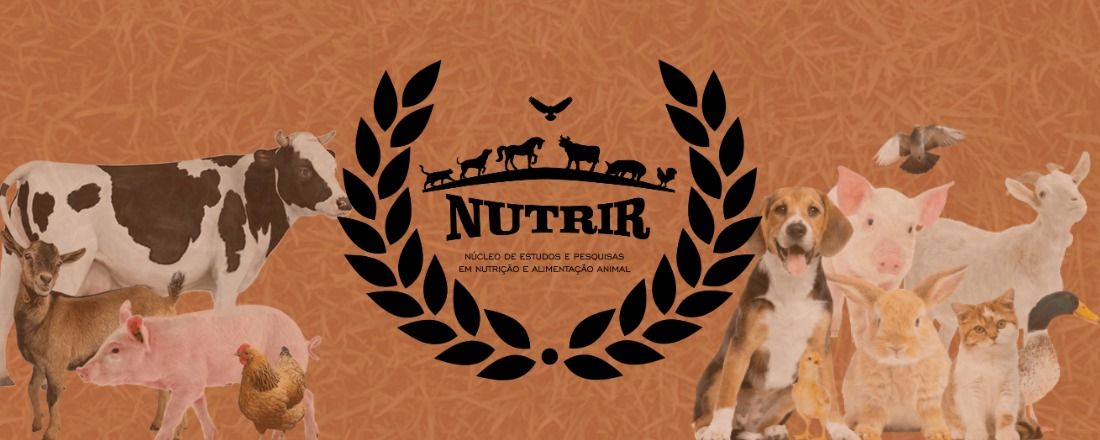 Aditivos e Saúde Intestinal em Aves