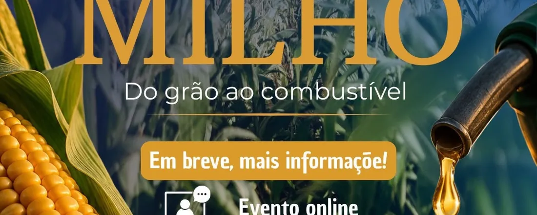 O futuro do milho: do grão ao combustível