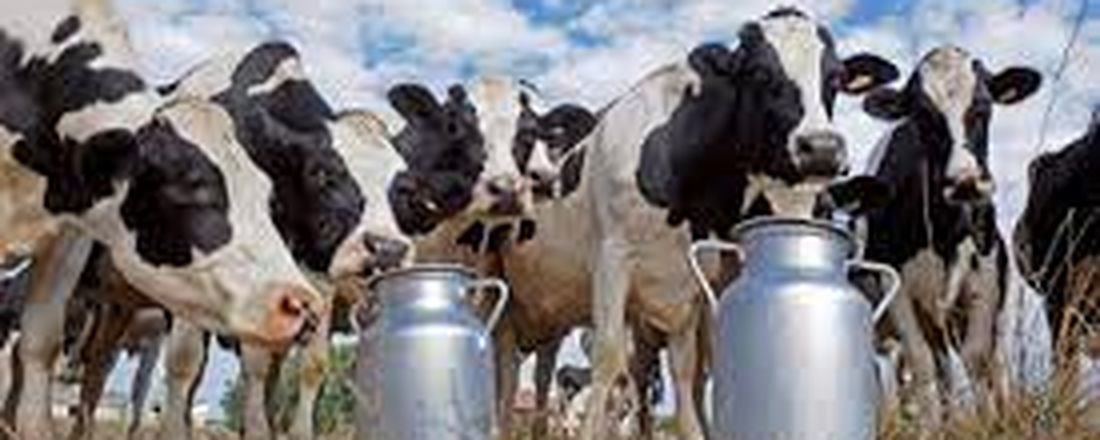 Bem-Estar na Bovinocultura Leiteira: Suas Aplicações nos Diferentes Sistemas de Produção