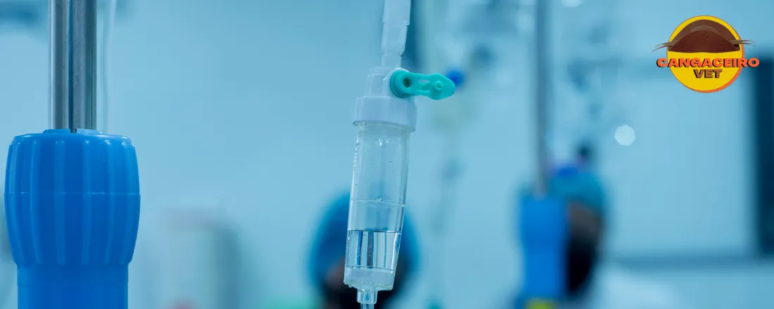 A FANTÁSTICA FÁBRICA DO SONO: TREINAMENTO EM ANESTESIOLOGIA VETERINÁRIA