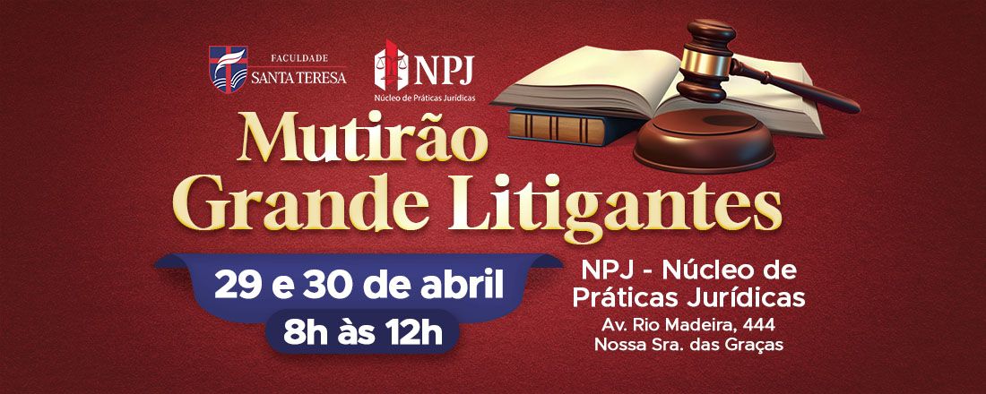 Mutirão Grande Litigantes NPJ