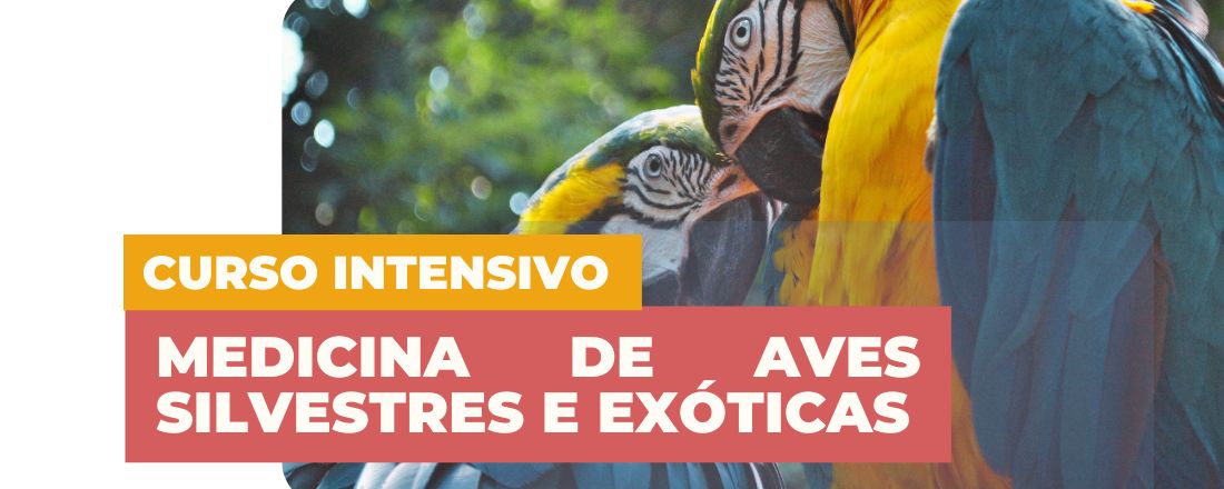 CURSO INTENSIVO: MEDICINA DE AVES SILVESTRES E EXÓTICAS