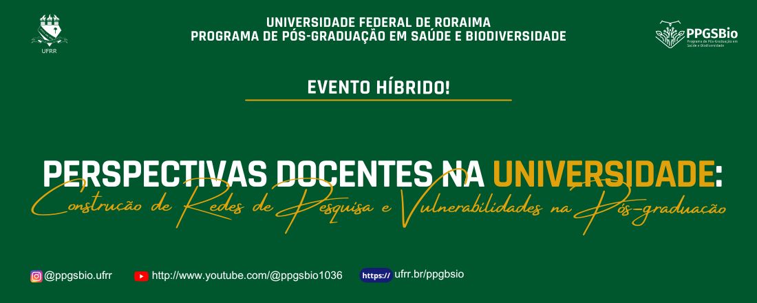 Perspectivas Docentes na Universidade: Construção de Redes de Pesquisa e  Vulnerabilidades na Pós Graduação