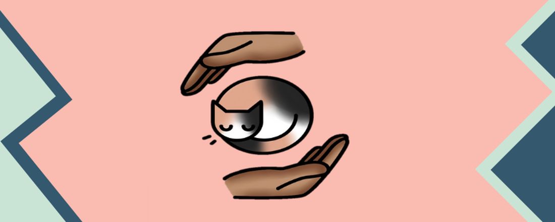 I SIMCAT: Bem-estar Felino