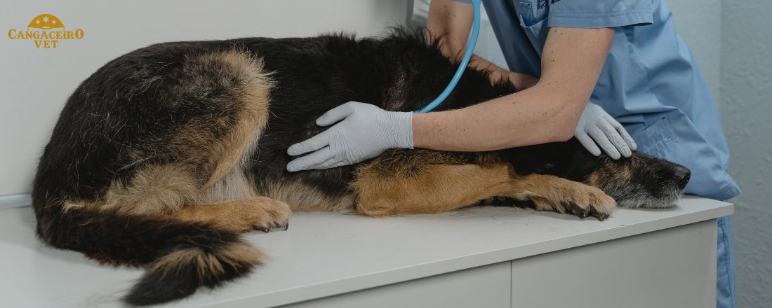 CURSO INTENSIVO EM ENDOCRINOLOGIA VETERINÁRIA