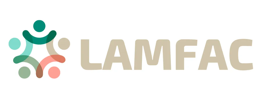 III Workshop - LAMFAC
