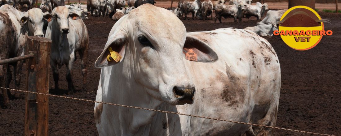 MEGA CURSO APLICADO EM ZOONOSES EM ANIMAIS DE PRODUÇÃO