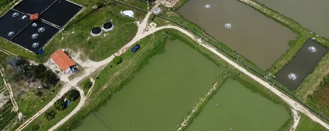 V Seminário Piauiense de Aquicultura
