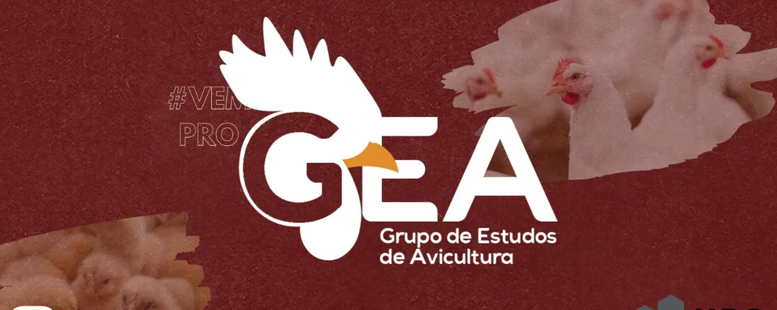 Panorama da atuação profissional no mercado de avicultura de postura comercial