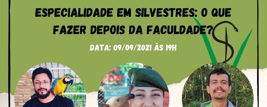 ESPECIALIDADE EM SILVESTRES: O QUE FAZER DEPOIS DA FACULDADE?