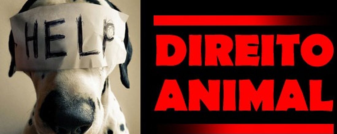 Direito dos Animais: a proteção legal aos animais domésticos e silvestres