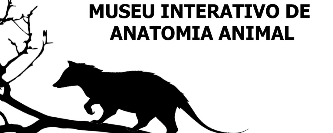Visita Virtual ao Museu de Anatomia Animal