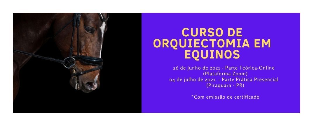 Curso de Orquiectomia em Equinos