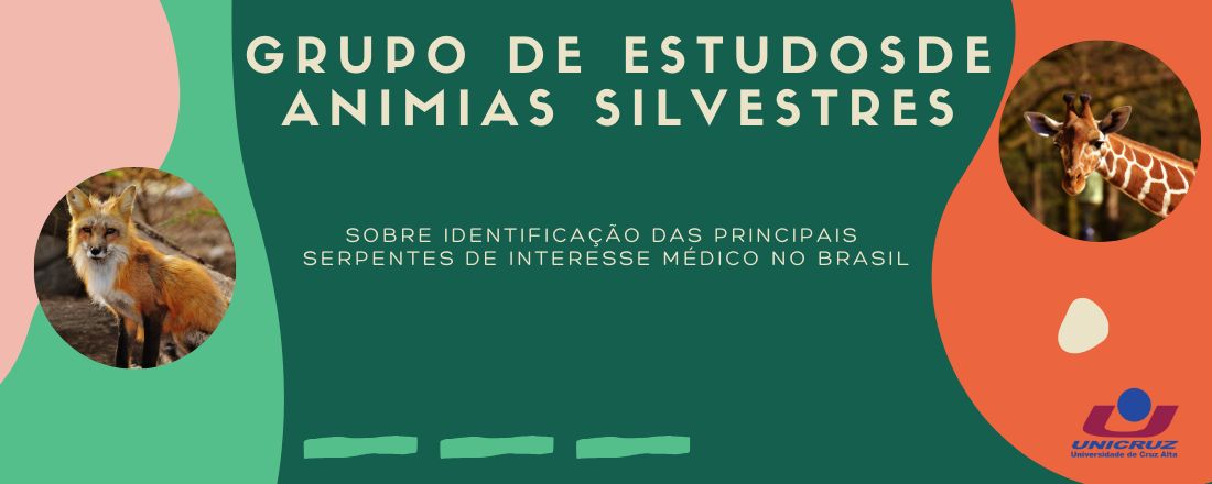 Ciclo de Palestras do Grupo de Estudos em Animais Silvestres