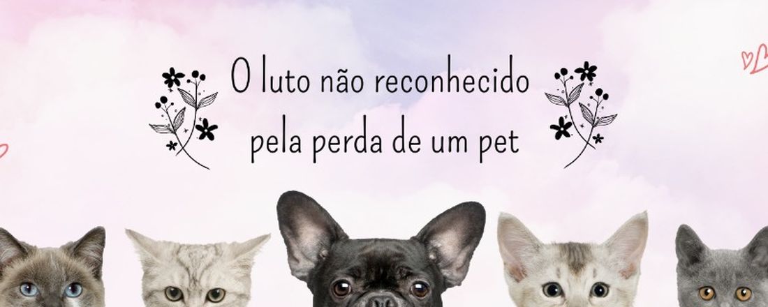 O luto não reconhecido pela perda de um pet.