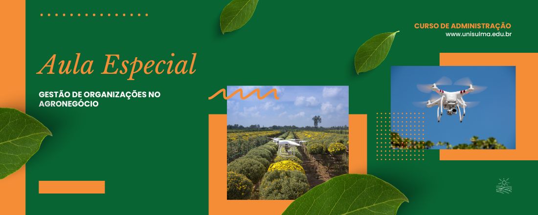 Gestão de Organizações no Agronegócio