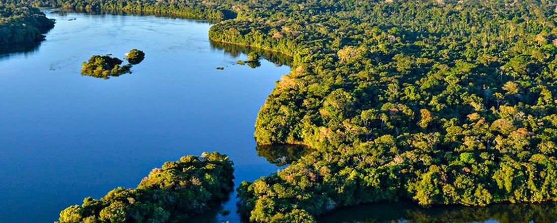 Workshop: Programa Nacional de Cooperação Acadêmica na Amazônia - PROCAD Amazonas