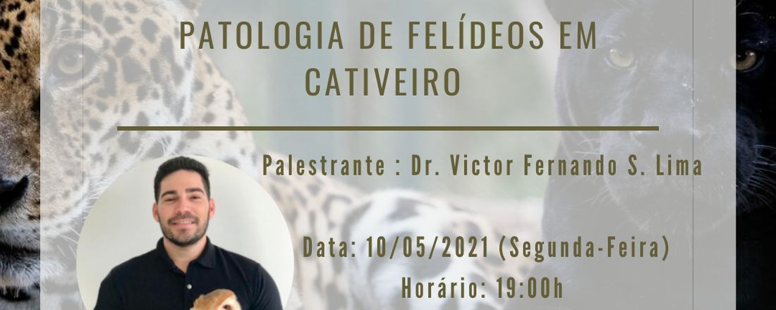 Palestra - Patologias De Felídeos Em Cativeiro