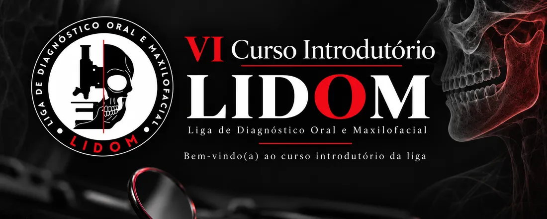 VI Curso Introdutório LIDOM