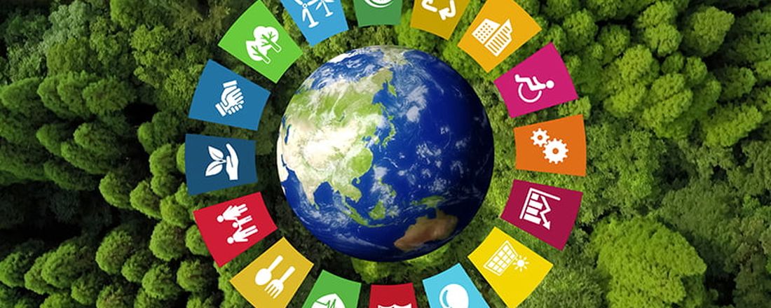 Seminário com Mesa Redonda: SUSTENTABILIDADE AMBIENTAL - Um debate sobre meio ambiente, competitividade e políticas públicas