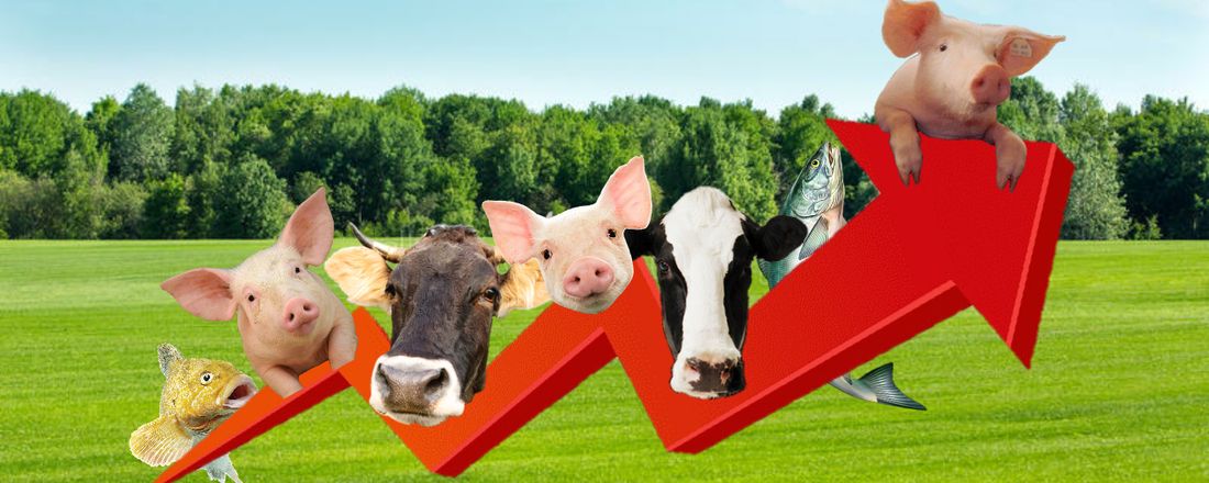 Webinar: Doenças na Produção Primária de Alimentos