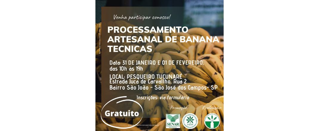 PROCESSAMENTO ARTESANAL DE BANANA - TECNICAS