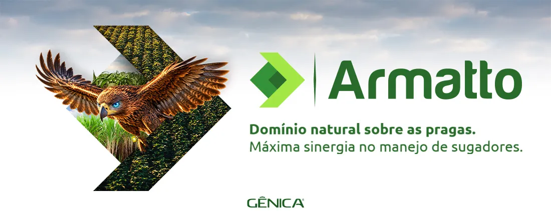 Lançamento Armatto