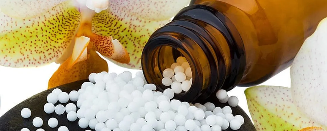 Oficina sobre o Uso da Homeopatia na Agroecologia