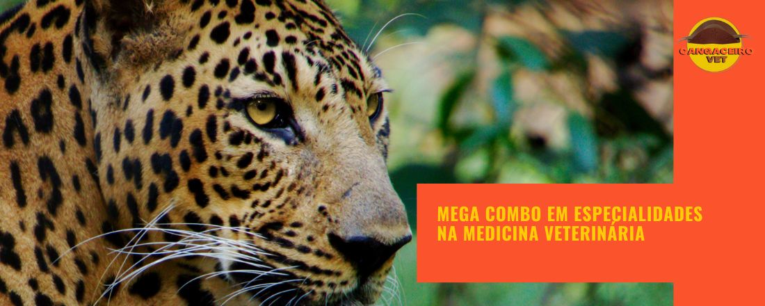 MEGA COMBO EM ESPECIALIDADES NA MEDICINA VETERINÁRIA