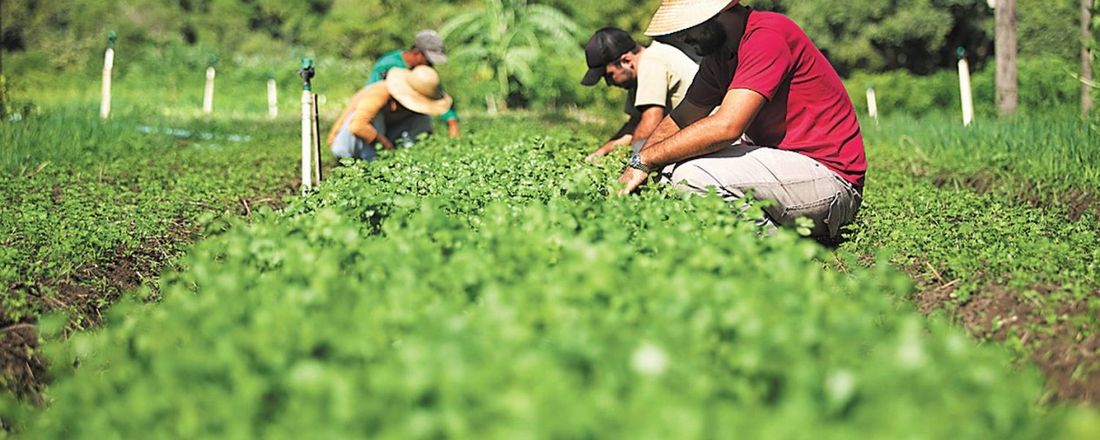 II Seminário Construindo Experiências Agroecológicas no Vale do Mucuri