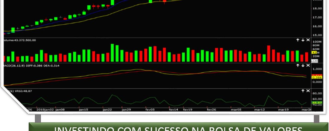 Invista com Sucesso na Bolsa de Valores