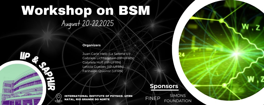 Workshop on BSM