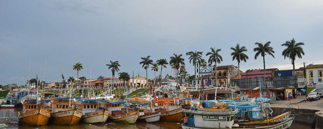 Pescado da Feira Livre de Bragança: diversidade e dinâmica de comercialização