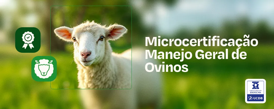 Manejo Geral de Ovinos