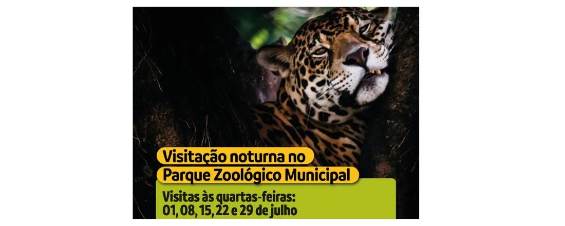 Turistando em VR Noturno no Zoo
