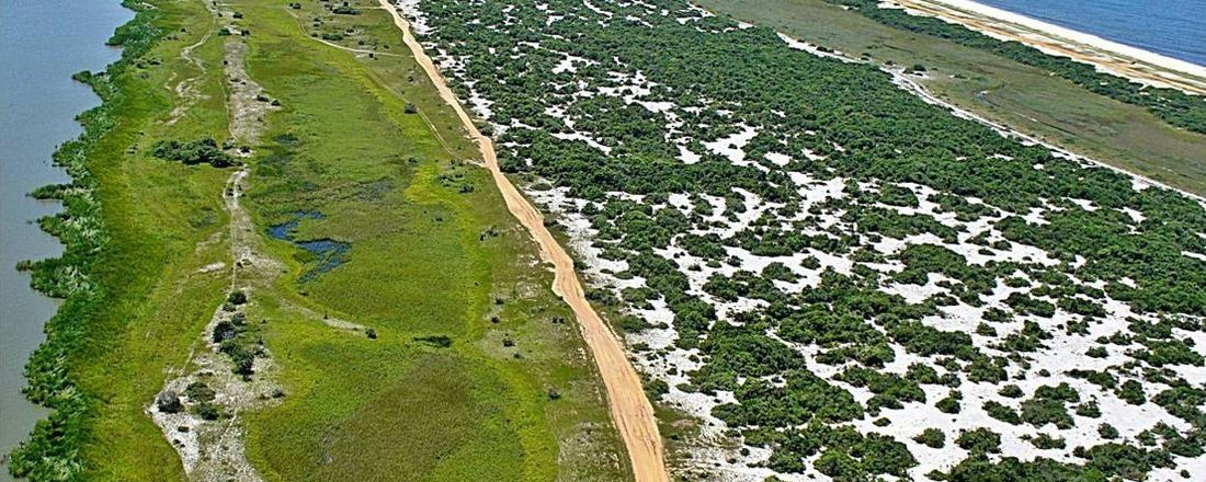 VI Simpósio Flora das Restingas Fluminenses: Conhecimento e uso das plantas da restinga.