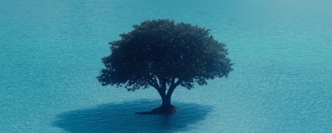 Patrimônio em transformação: a influência de fatores socioculturais, econonômicos, políticos e tecnológicos na preservação digital