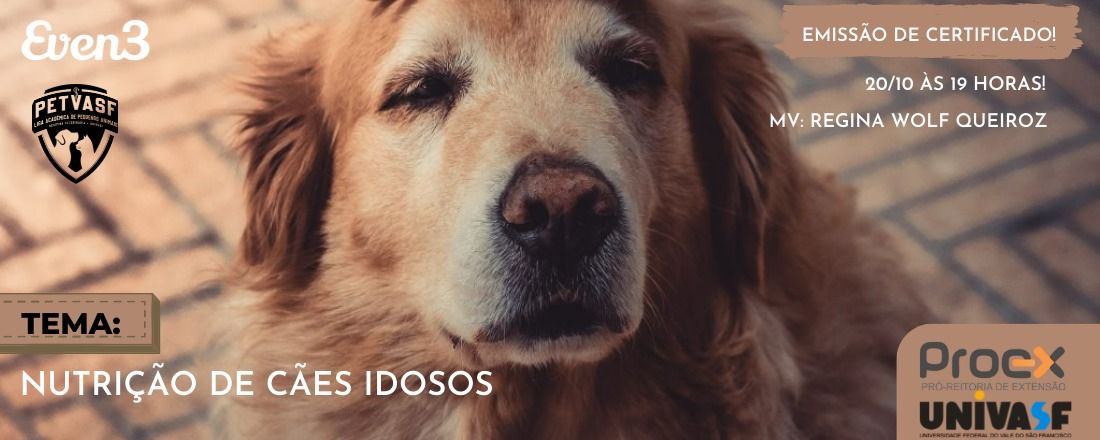 LIVE - Nutrição de cães idosos