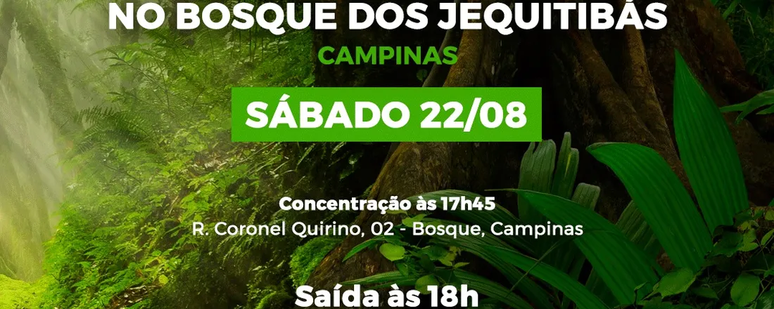 Campinas 22/08 às 18: 00 - Visita Noturna Monitorada - Lendas Brasileiras no Bosque dos Jequitibás