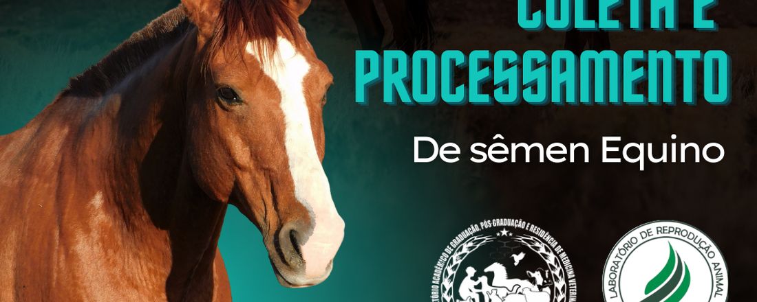 Coleta e Processamento de Sêmen Equino