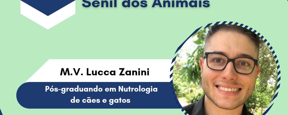 A importância da nutrição no período senil e na qualidade de vida dos animais