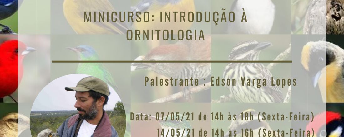 Minicurso - Introdução à Ornitologia