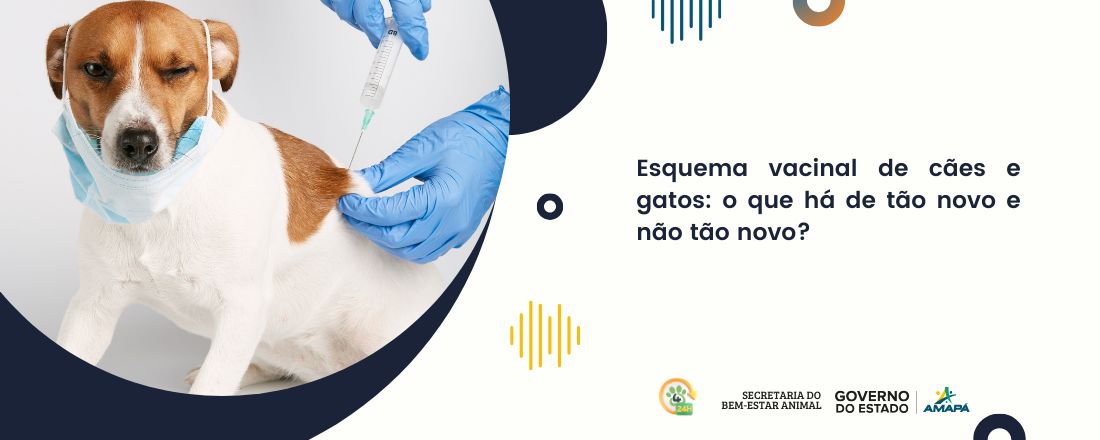 Esquema vacinal de cães e gatos: o que há de tão novo e não tão novo?