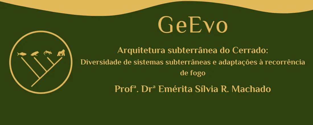 Arquitetura subterrânea no Cerrado: Diversidade de sistemas subterrâneos e adaptações à recorrência de fogo.